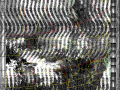 NOAA 19 at 23 Aug 2024 15:51:01 GMT